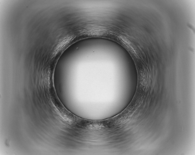 X0000098080586200804181201