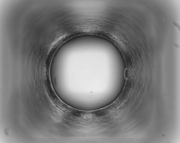 X0000098080587200804181201