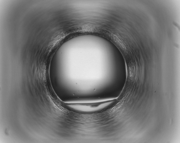 X0000098080588200804181201