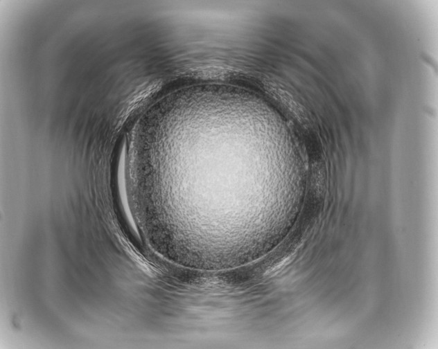 X0000098080589200804181201