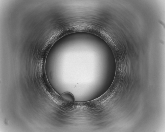 X0000098080590200804181201