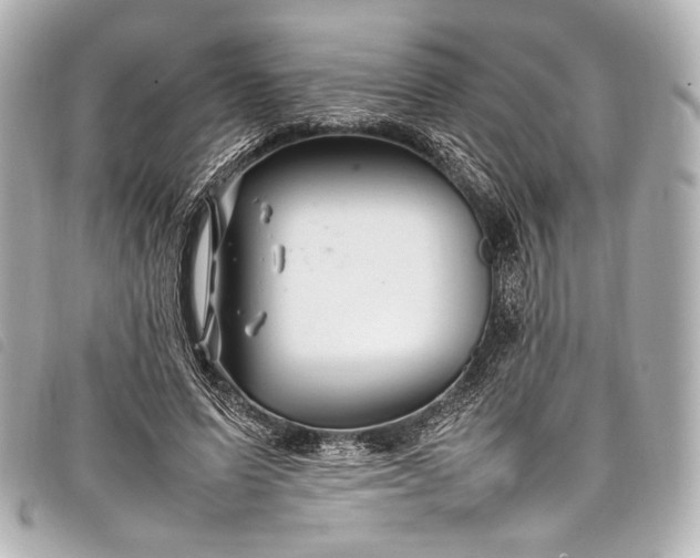 X0000098080591200804181201