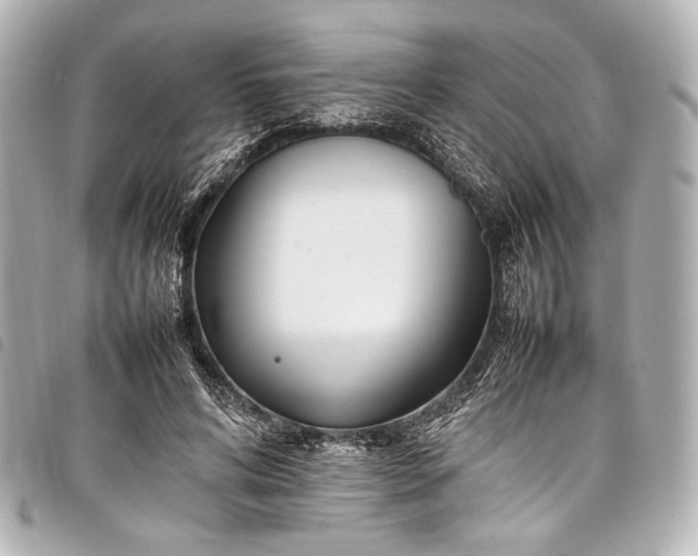 X0000098080592200804181201