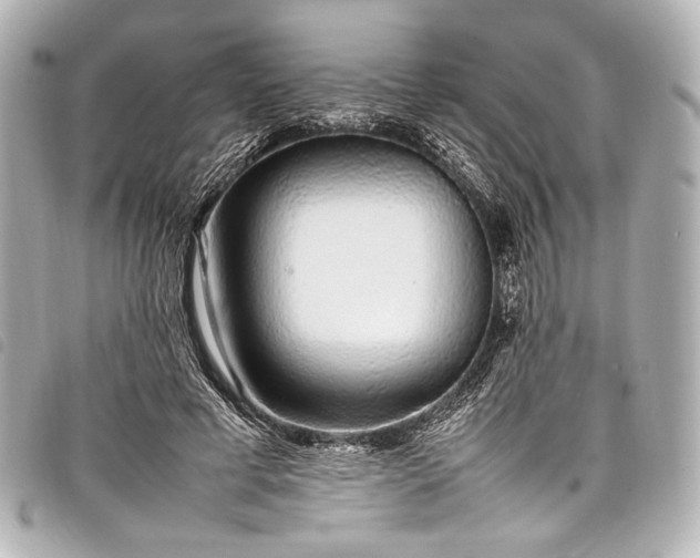 X0000098080593200804181201