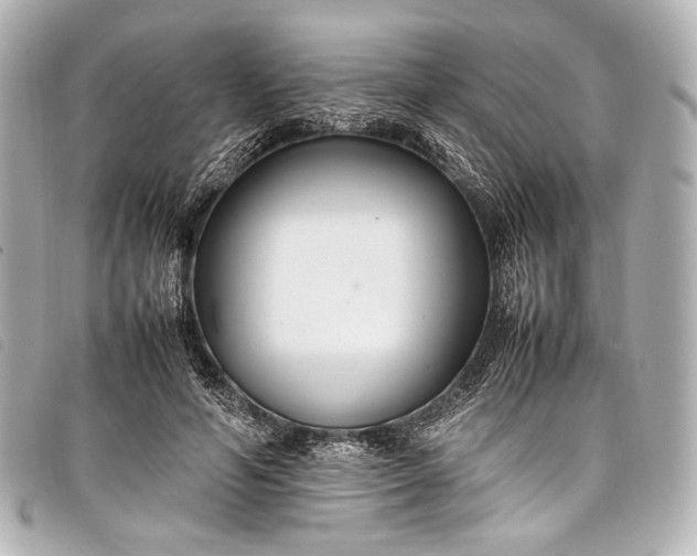 X0000098080594200804181201