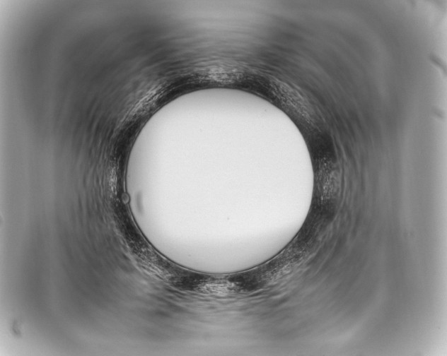 X0000098080595200804181201