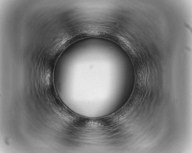 X0000098080596200804181201