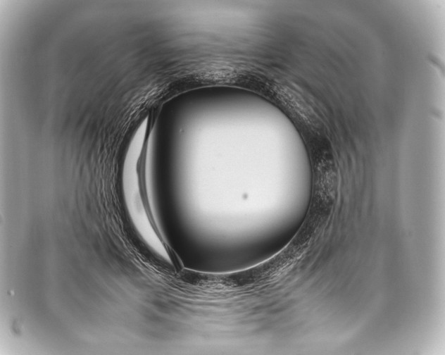 X0000098080597200804181201