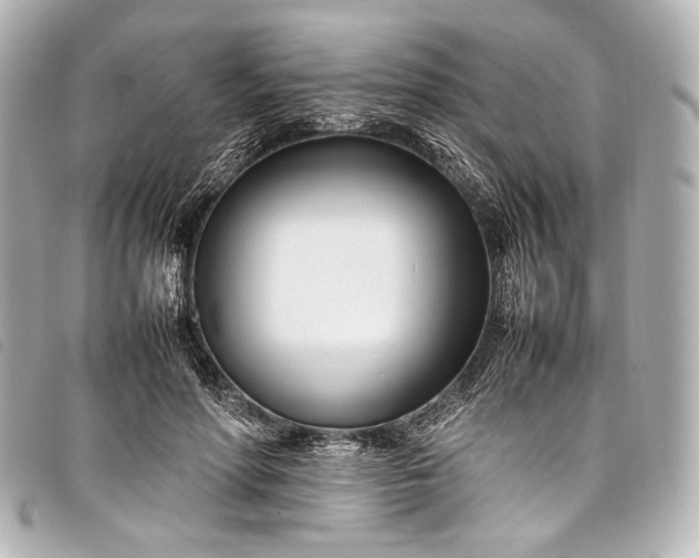 X0000098080598200804181201