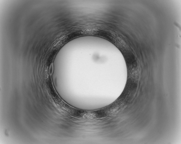 X0000098080599200804181201