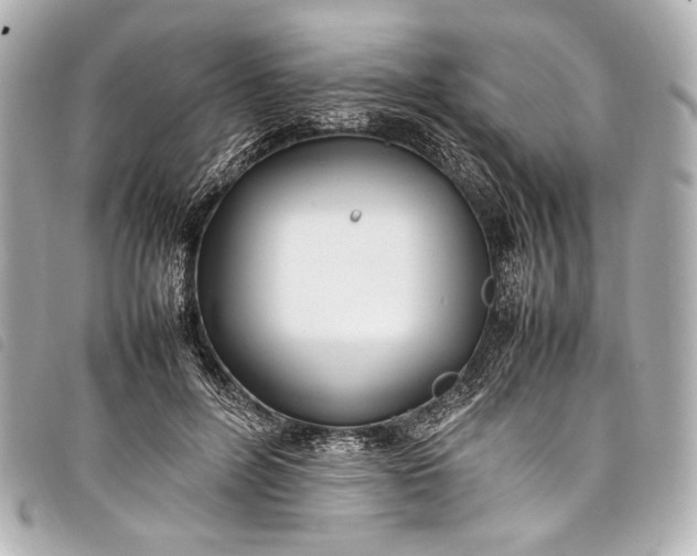 X0000098080600200804181201