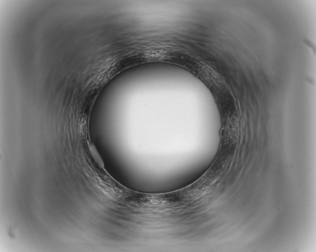 X0000098080601200804181201