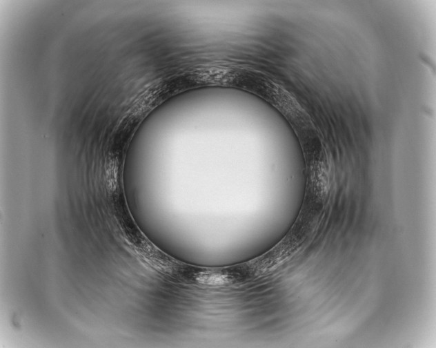 X0000098080602200804181201