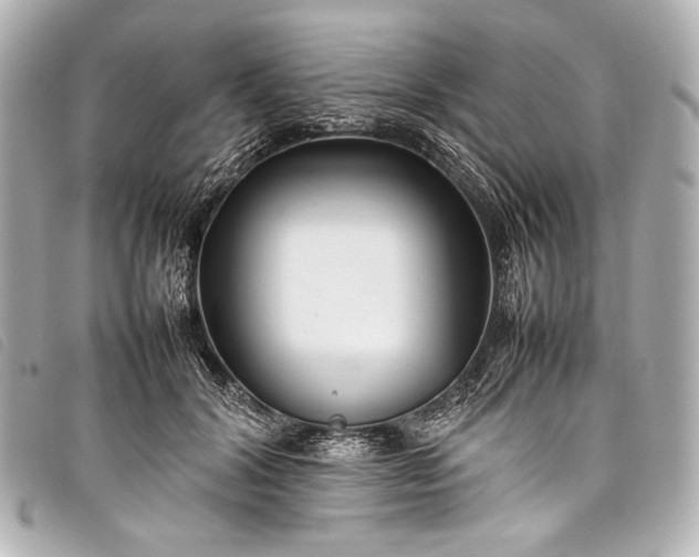 X0000098080604200804181201