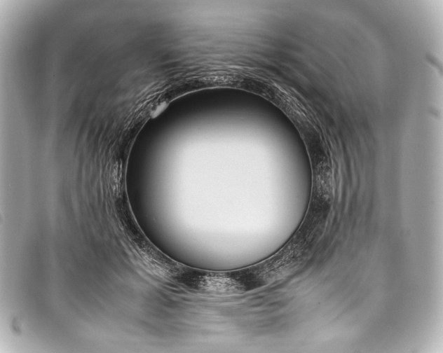 X0000098080605200804181200