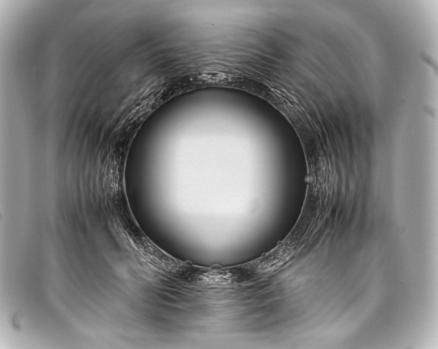 X0000098080606200804181200