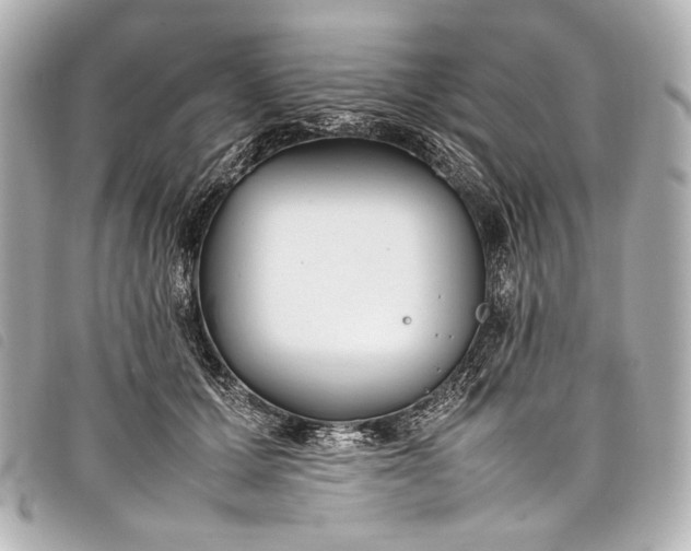 X0000098080607200804181200