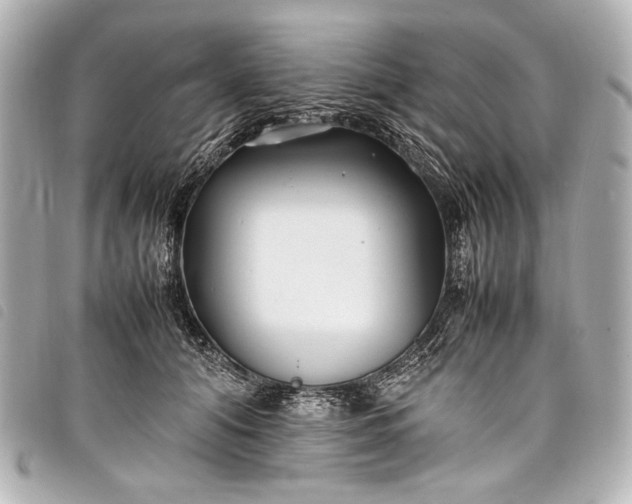 X0000098080608200804181200