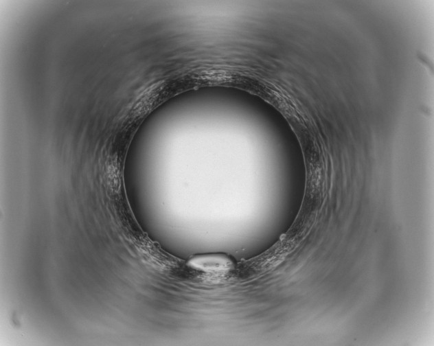 X0000098080609200804181200