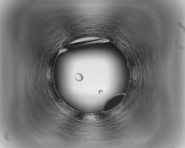 X0000098080611200804181200