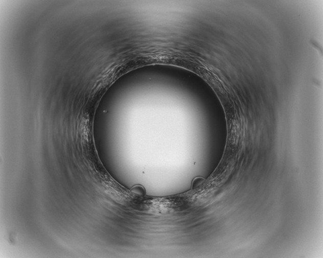 X0000098080612200804181200