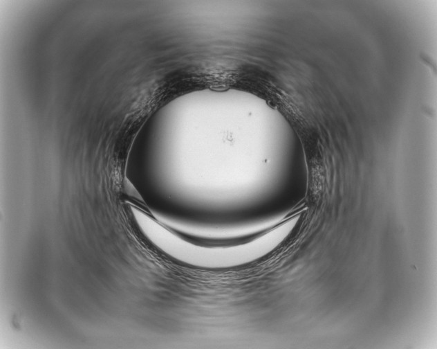 X0000098080613200804181200