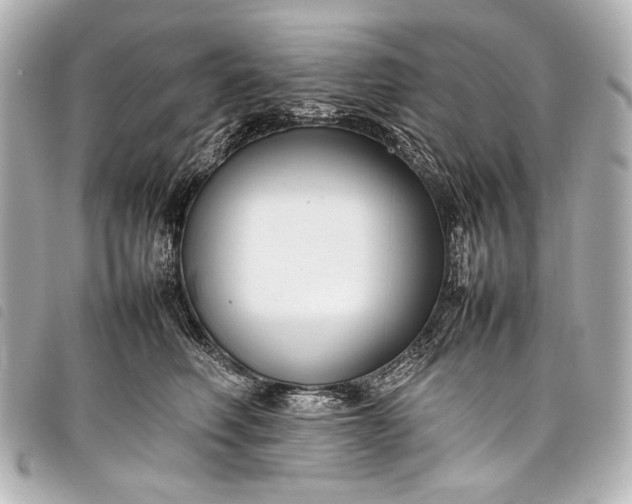 X0000098080614200804181200