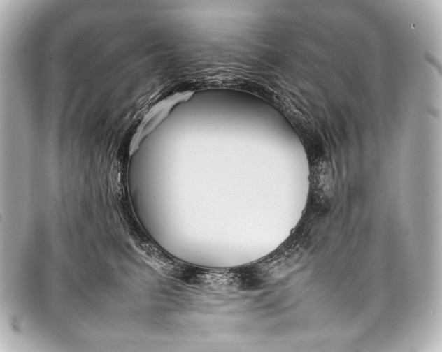 X0000098080615200804181200