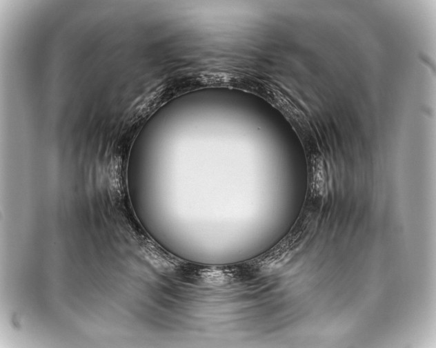 X0000098080616200804181200