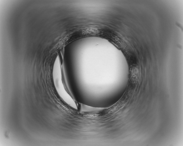 X0000098080617200804181200