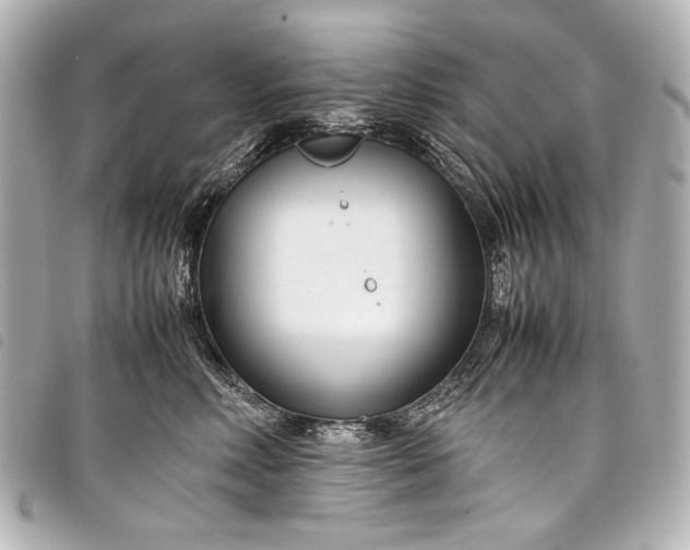 X0000098080618200804181200