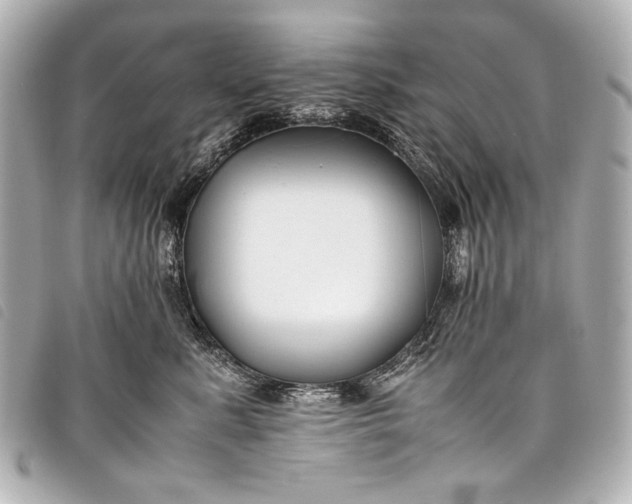 X0000098080619200804181200