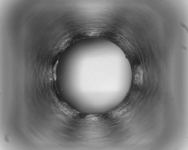 X0000098080620200804181200