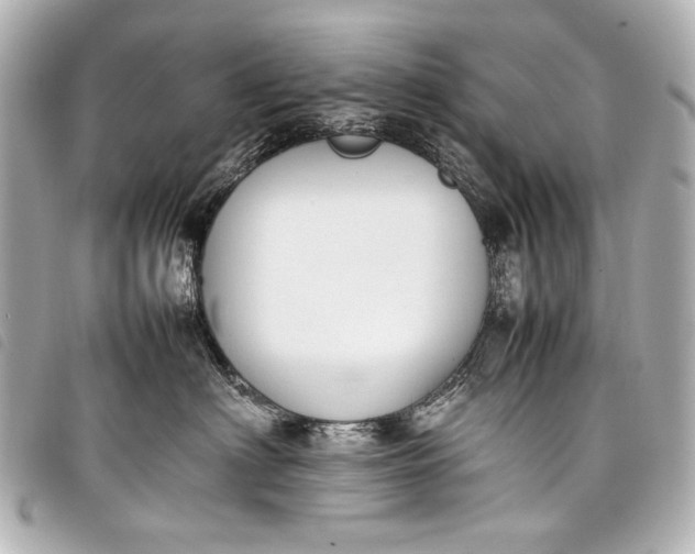 X0000098080622200804181200