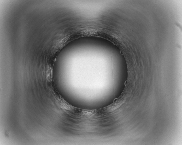 X0000098080624200804181200