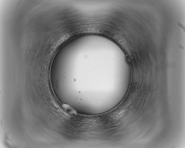 X0000098080625200804181159