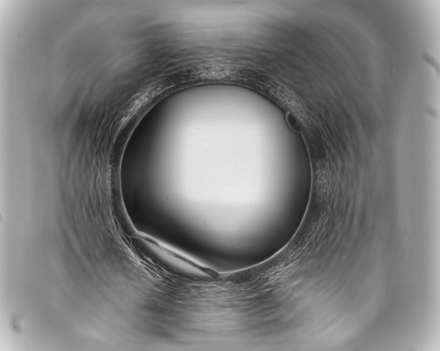 X0000098080626200804181159