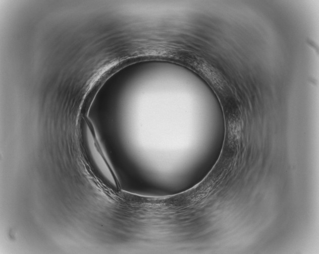 X0000098080628200804181159