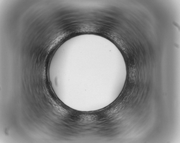 X0000098080629200804181159