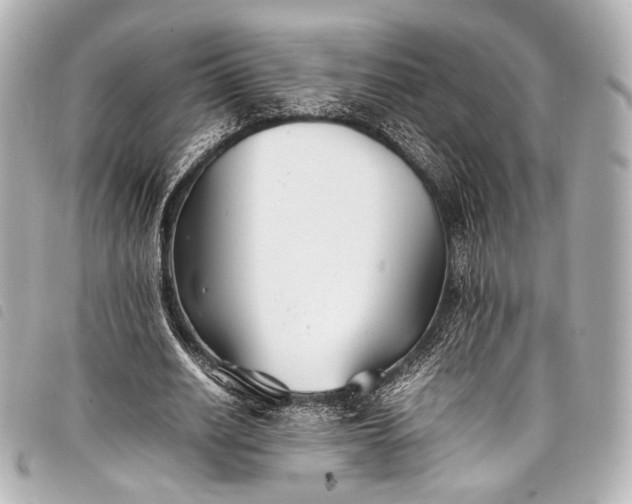 X0000098080630200804181159