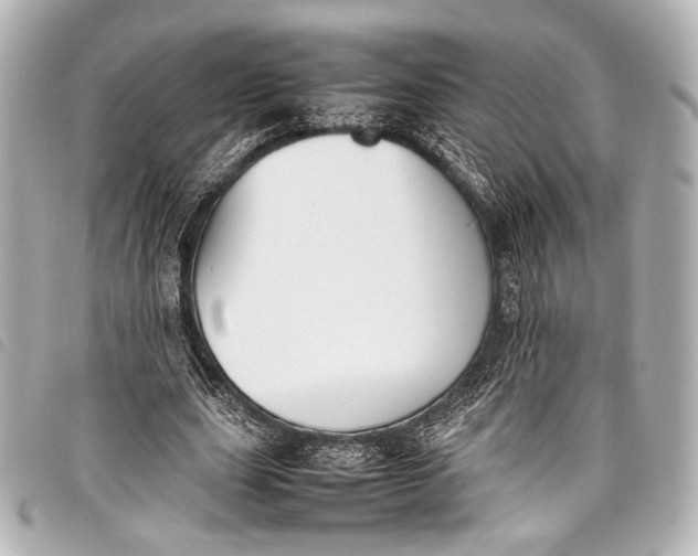 X0000098080631200804181159