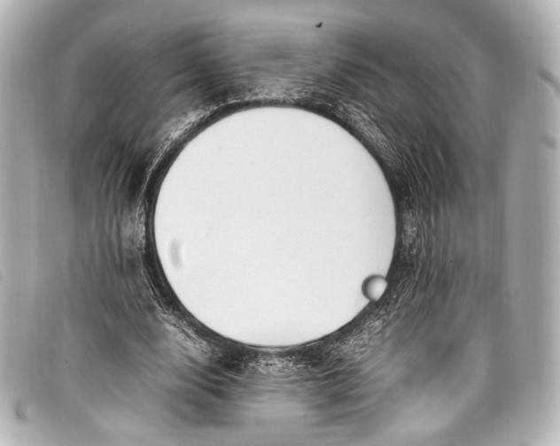 X0000098080632200804181159