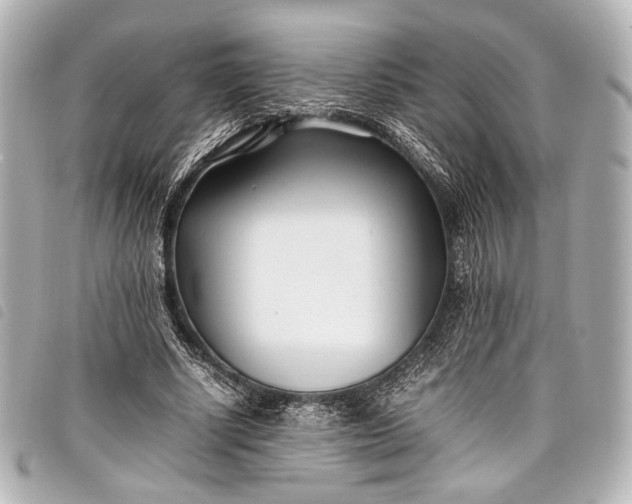 X0000098080634200804181159