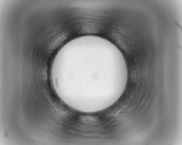 X0000098080635200804181159