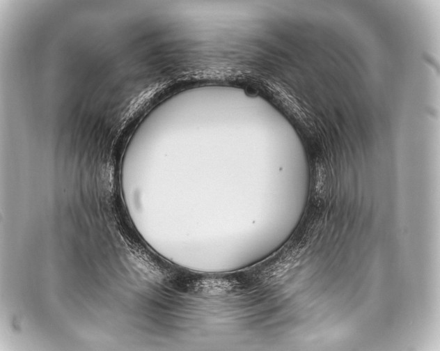 X0000098080636200804181159