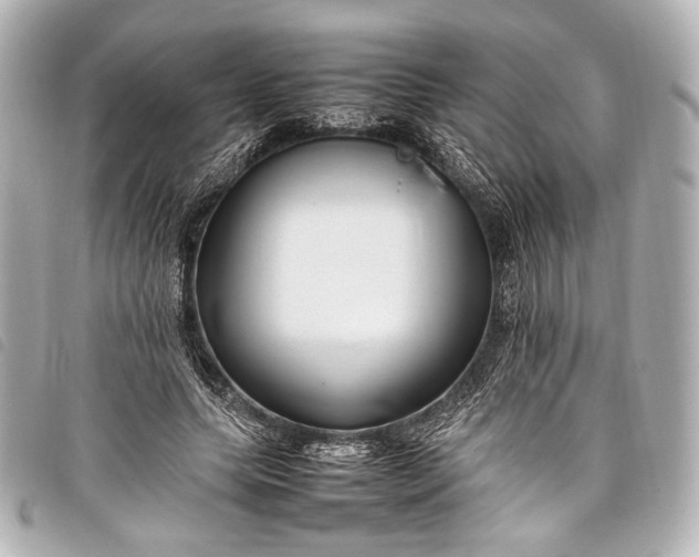 X0000098080639200804181159