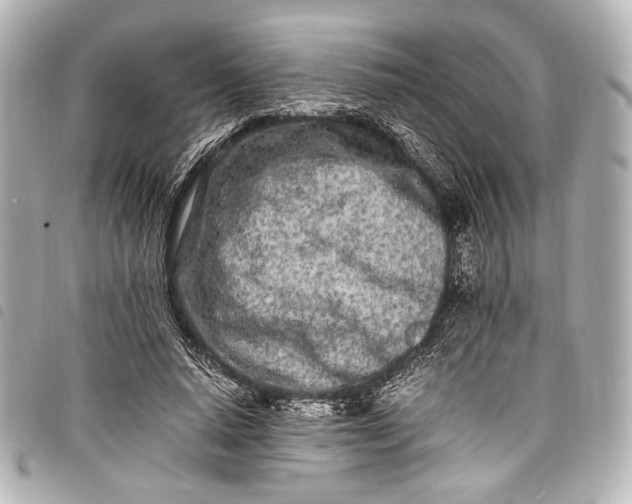 X0000098080640200804181200