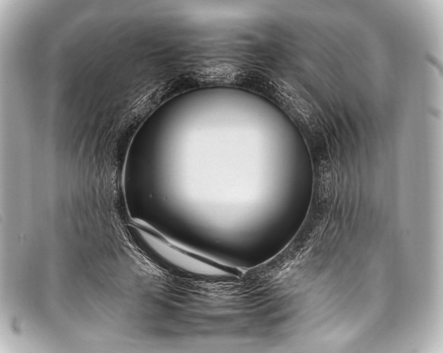 X0000098080641200804181200