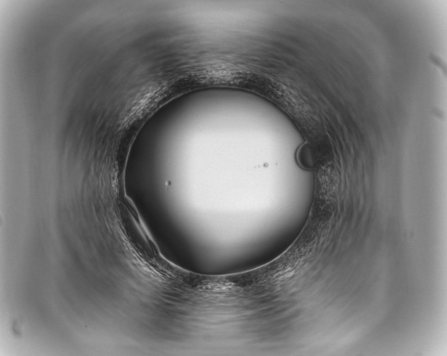 X0000098080642200804181200