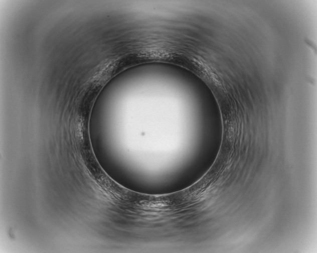 X0000098080643200804181200